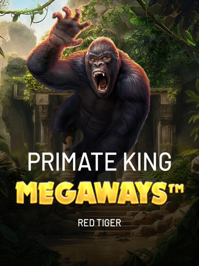 A75: Plataforma de Apostas Online Top no Brasil ⭐️